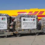 پاکستان نے فلسطینی عوام کے لیے طبی امداد کا فریم ورک تیار کی