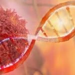 کیموتھراپی سے آگے: CAR-T سیل تھراپی کینسر کے علاج میں نئی امید بن گئی
