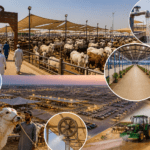 اس سیزن کراچی منڈی کو کیا چیز نمایاں بناتی ہے؟ اہم سہولتیں اور ترقی کی تفصیل