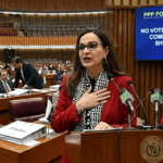 شیری رحمٰن کا مؤقف: سینیٹ کمیٹی میں تفصیلی بحث کے بغیر پی ٹی اے بل کی حمایت نہیں کریں گے