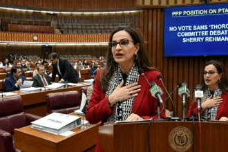 شیری رحمٰن کا مؤقف: سینیٹ کمیٹی میں تفصیلی بحث کے بغیر پی ٹی اے بل کی حمایت نہیں کریں گے