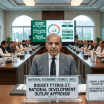 وزیراعظم شہباز شریف کا این ای سی اجلاس میں وفاق اور صوبوں کے فیصلوں کو پاکستان کے بہترین مفاد میں قرار