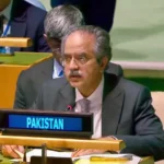 پاکستان اور چین نے قراردادوں پر عملدرآمد