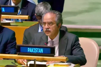 پاکستان اور چین نے قراردادوں پر عملدرآمد
