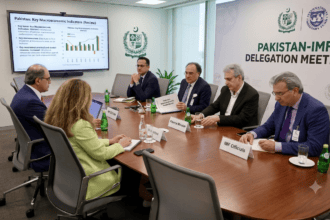 وزیرِ خزانہ کی آئی ایم ایف حکام سے ملاقات، پاکستان کی معاشی کارکردگی کا جائزہ