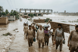 بھارت پانی کو بطور ہتھیار استعمال کر رہا ہے: شیری رحمان