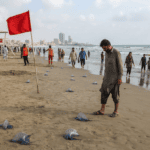 کراچی کے ساحلوں پر نیلی جیلی فش کا حملہ، تیراکوں کو محتاط رہنے کی ہدایت