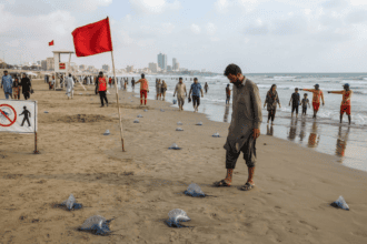 کراچی کے ساحلوں پر نیلی جیلی فش کا حملہ، تیراکوں کو محتاط رہنے کی ہدایت