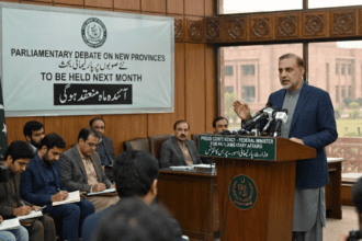 نئے صوبوں کے قیام پر پارلیمانی بحث: حکومت نے آئندہ ماہ کا اعلان کر دیا