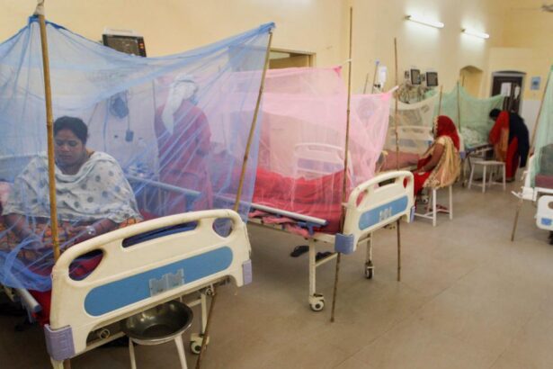 Despite Rs 1.21 Billion Budget, Sindh Government Fails to Control Malaria Outbreak