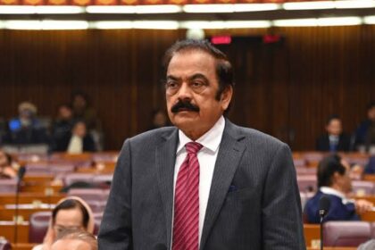 PTI Incapable of Launching Any Movement, Claims Rana Sanaullah