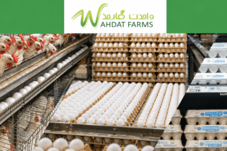 Wahdat Poultry IPO five times oversubscribed as strike price lands at Rs18