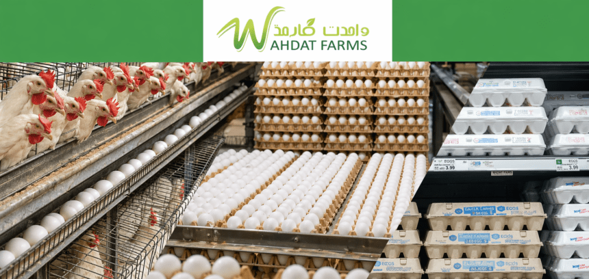 Wahdat Poultry IPO five times oversubscribed as strike price lands at Rs18
