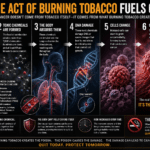 The Chemistry of Combustion: How Burning Tobacco Drives Cancer