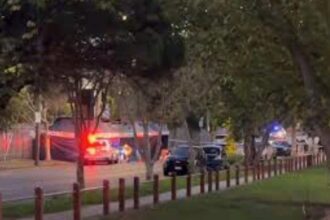 One dead, another critically injured after car mounts footpath outside Melbourne Showgrounds