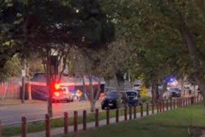 One dead, another critically injured after car mounts footpath outside Melbourne Showgrounds