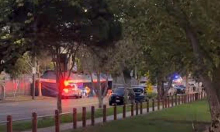 One dead, another critically injured after car mounts footpath outside Melbourne Showgrounds