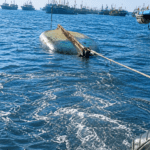 Karachi: 19 Rescued After Boat Capsizes at Khuddi Creek