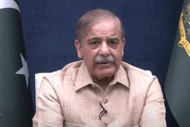 PM Shehbaz waives August electricity bills in flood-hit regions