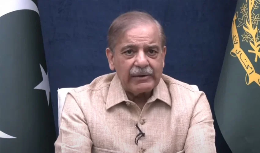 PM Shehbaz waives August electricity bills in flood-hit regions