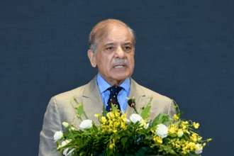 PM Shehbaz pitches agriculture, IT and minerals as next big push in Pakistan-China cooperationPM Shehbaz pitches agriculture, IT and minerals as next big push in Pakistan-China cooperation