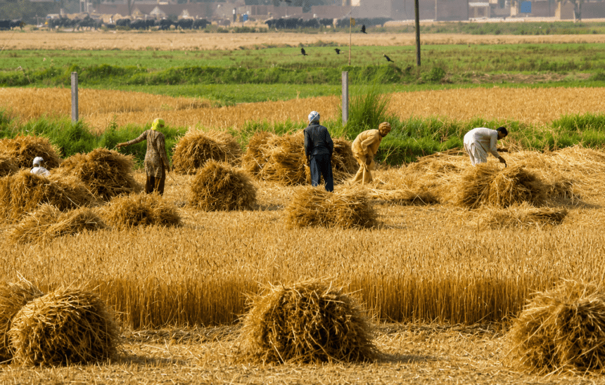 Punjab agri tax hike lands in LHC as petitioners challenge legality of revised rates