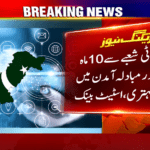 Pakistan Freelancers’ Earnings Jump 49% to $959 Million in 10 Months