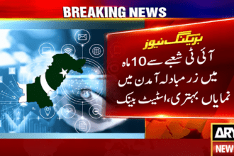 Pakistan Freelancers’ Earnings Jump 49% to $959 Million in 10 Months