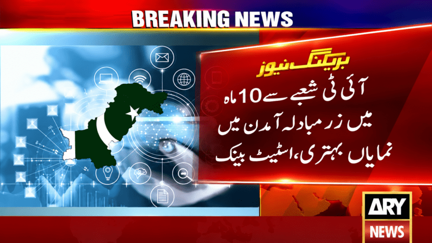 Pakistan Freelancers’ Earnings Jump 49% to $959 Million in 10 Months