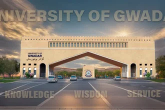 Gwadar University Vice Chancellor, Pro-VC Abducted in Balochistan