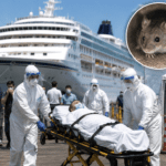 Hantavirus Outbreak Leaves Three Dead on Cruise Ship