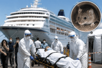 Hantavirus Outbreak Leaves Three Dead on Cruise Ship