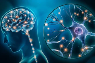 Hidden nutrient deficiency identified as potential driver of anxiety