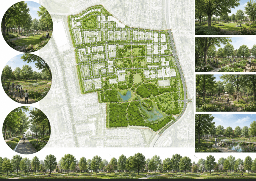 Council Green Plan Targets Urban Cooling and Canopy Expansion