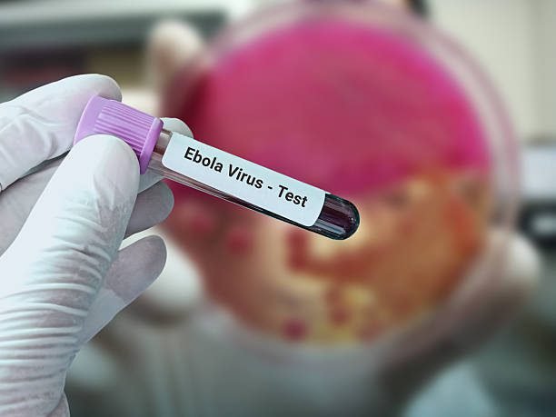 Experimental Ebola Treatment