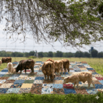 Second Case of Flesh-Eating Screwworm Confirmed in Texas, Threatening U.S. Cattle Industry