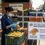 Nepal Joins Japan in Banning Indian Mango Imports