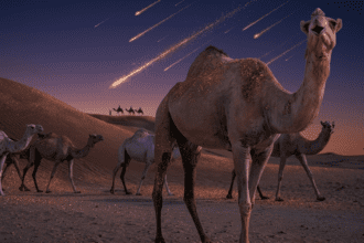 Pakistan to Launch Rs 1 Billion Camel Milk Powder Project Alongside Major Agriculture and Seed Production Schemes