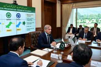 PM Shehbaz urges for expanding, accelerating Discos privatisation