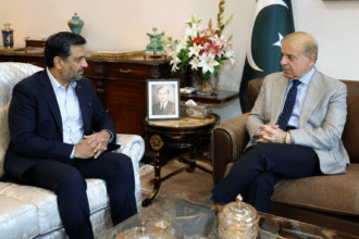 Health Minister Syed Mustafa Kamal Briefs PM Shehbaz Sharif on Healthcare Reforms and Public Health Priorities