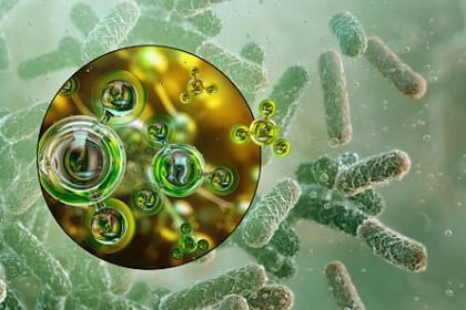 Soil Bacteria