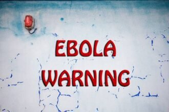 The Ebola Outbreak’s Central