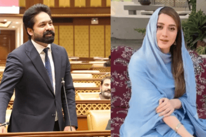 PML-N MPA Saqib Chadhar Found Guilty of Harassing Actor Momina Iqbal, NCCIA Tells Court