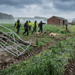 Rural terror: Gangs rampaging through farmland in illegal hare-coursing raids