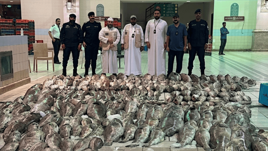 Kuwait Authorities Seize and Destroy Over 3.2 Tons of Spoiled Fish at Waterfront Market