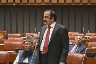 Rana Sanaullah Says SC Will Decide on September 16 Whether Imran Khan Medical Order Was Fully Implemented