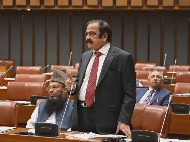 Rana Sanaullah Says SC Will Decide on September 16 Whether Imran Khan Medical Order Was Fully Implemented