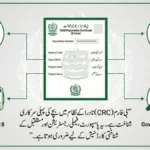 NADRA Issues Important Guidelines for Parents Applying for B-Form