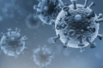 COVID-19 Can Reactivate Dormant Viruses in the Body