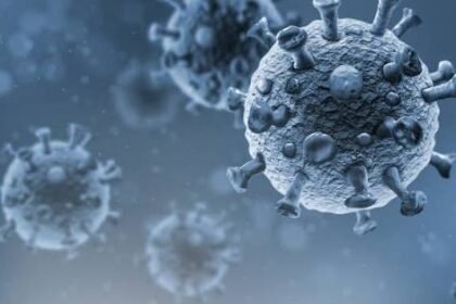 COVID-19 Can Reactivate Dormant Viruses in the Body